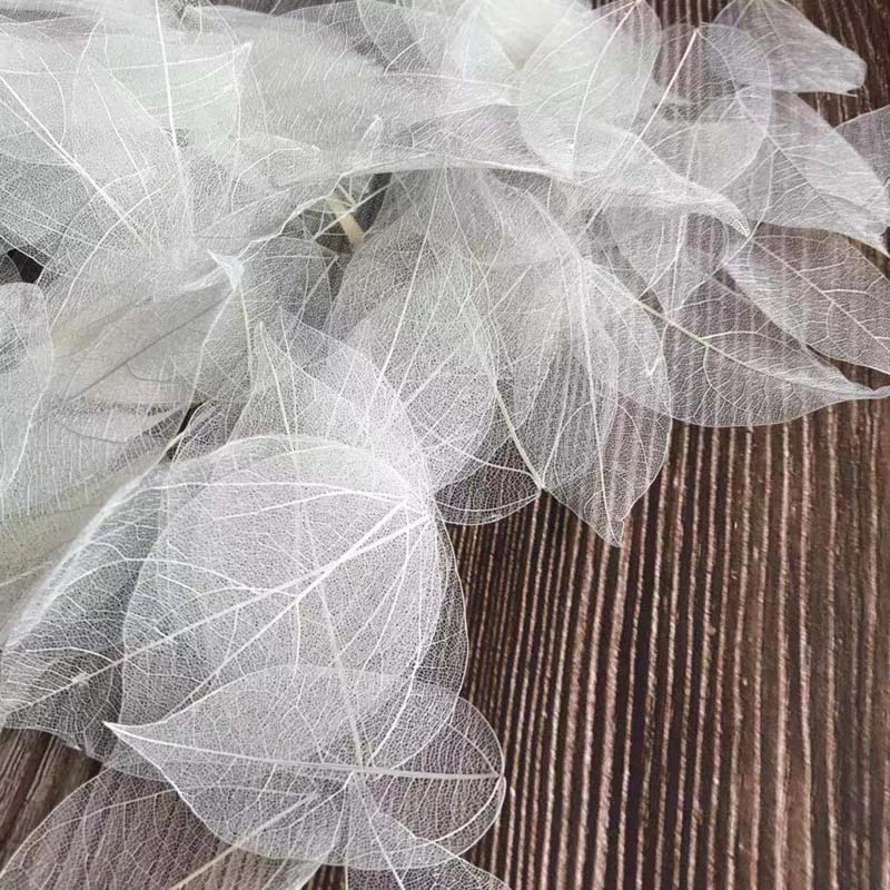 Dried Flower Pressed - 5~9ซม.*2~3.5ซม., 100 ชิ้น/ชุด, ใบวัชราแห้งธรรมชาติแท้, ดอกไม้แห้งอัดรูปโครงกระดูก, สำหรับตกแต่งงานแต่งงาน