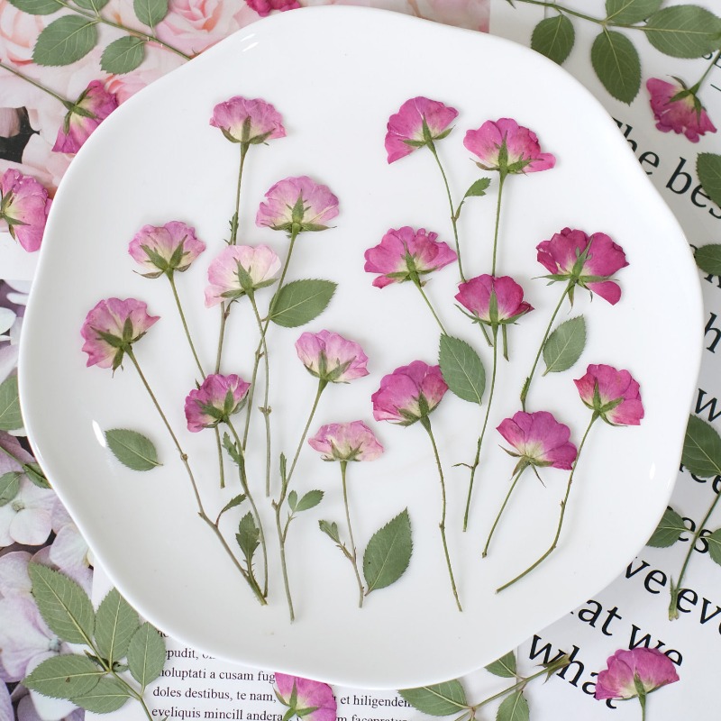 Resin Art Rose Petals - ดอกกุหลาบแห้งแท้ 12 ชิ้น สีชมพู สำหรับงาน DIY