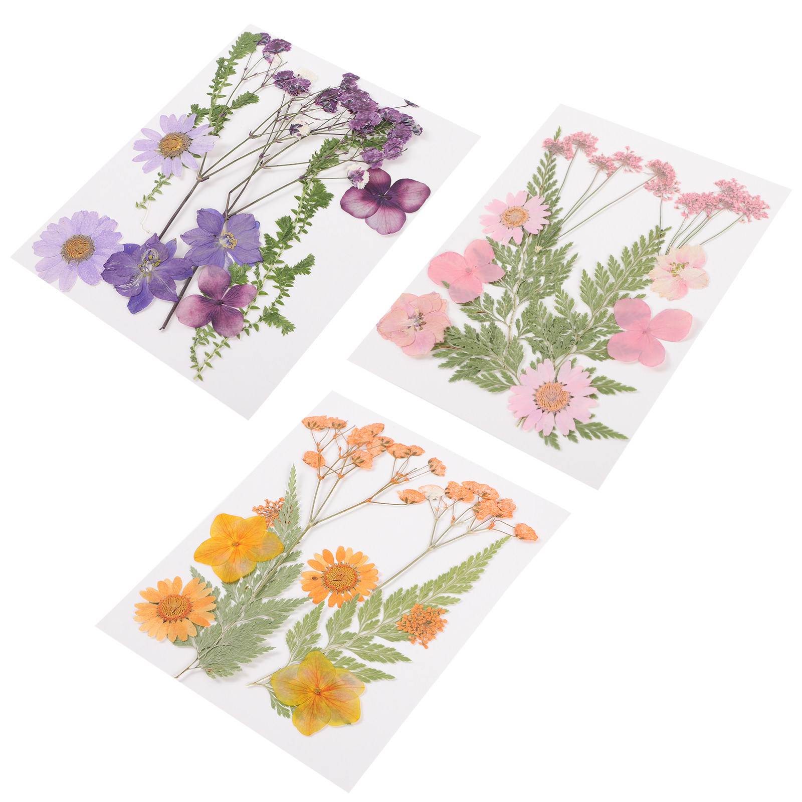 Dried Flower Pressed - วัสดุตกแต่งดอกไม้แห้ง 3 ชุด เรซิ่นลายนูน ดอกไม้หลากสี กดขึ้นรูป