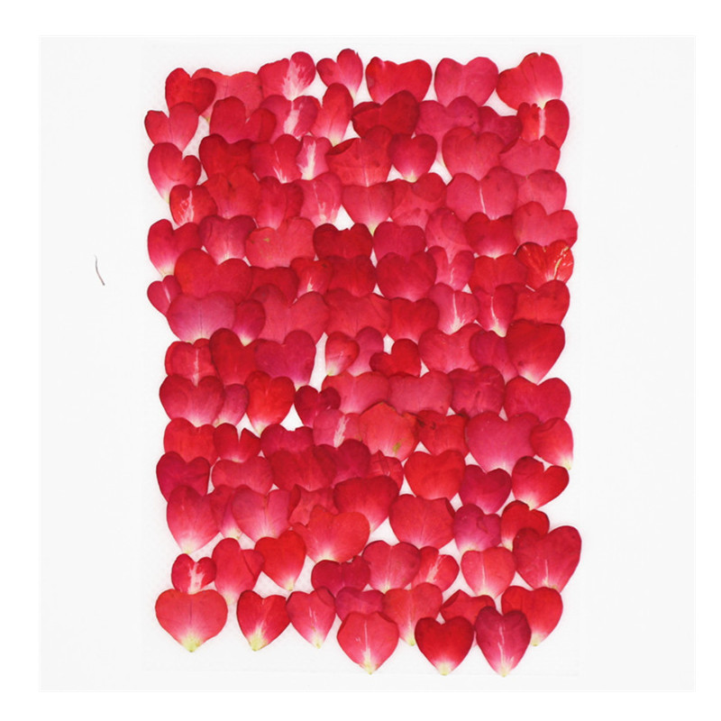 Resin Art Rose Petals - กลีบดอกกุหลาบ 120 ชิ้น แพ็คแบบคละ, ดอกไม้แห้ง, ดอกไม้กดแห้ง,