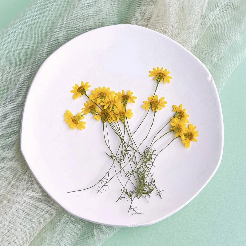 Dried Flower Pressed - ดอกเบญจมาศแห้ง 6-10 ซม./24 ชิ้น, กิ่งดอกคาโมไมล์แท้สำหรับตกแต่งเคสมือถือ, ทำเล็บ,