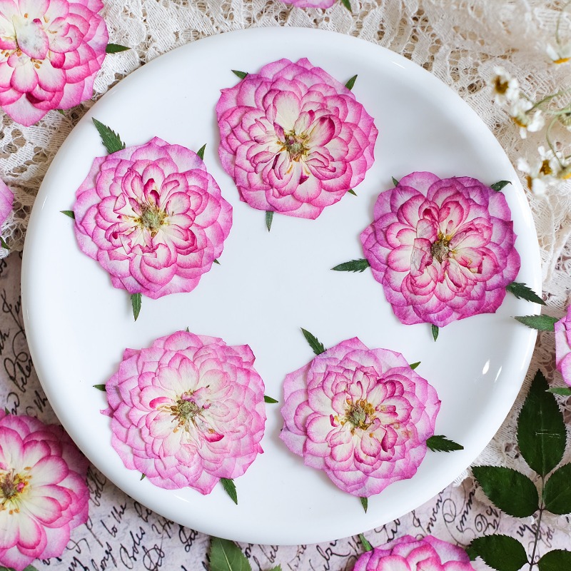Resin Art Rose Petals - ดอกกุหลาบและดอกบัวแห้งธรรมชาติ 6 ชิ้น กลีบดอกไม้แท้ สำหรับงาน DIY