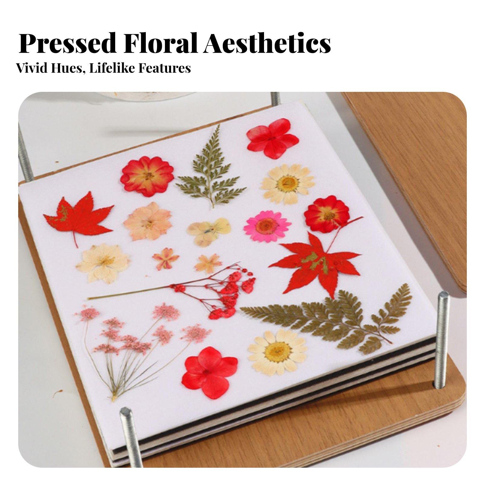 ชุดอุปกรณ์กดดอกไม้และใบไม้หลาย - Dried Flower Pressed บทวิจารณ์และราคา