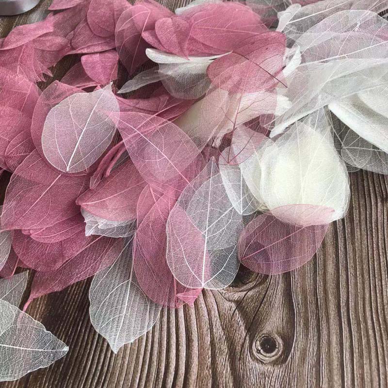 5~9ซม.*2~3.5ซม., 100 ชิ้น/ชุด, - Dried Flower Pressed บทวิจารณ์และราคา