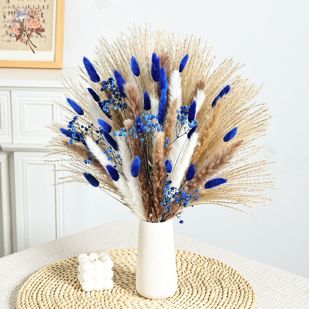 70 Stem Blue Fluffly หางกระต่า - Dried Flower Pressed บทวิจารณ์และราคา