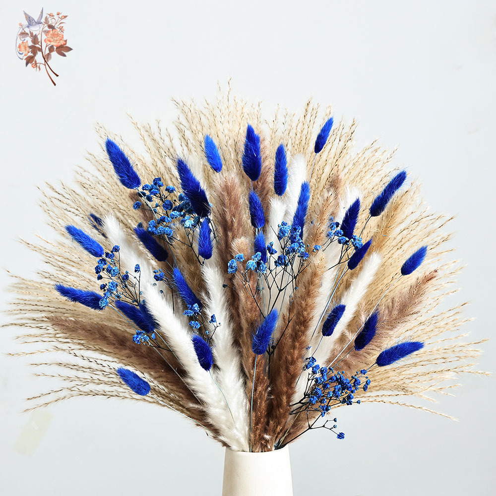 70 Stem Blue Fluffly หางกระต่า - Dried Flower Pressed บทวิจารณ์และราคา
