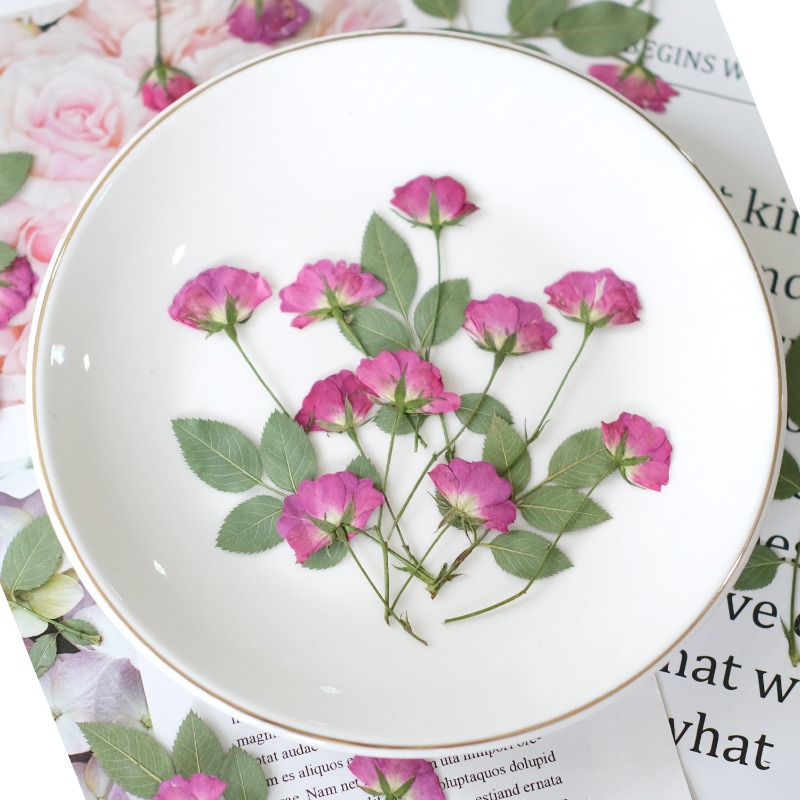 ดอกกุหลาบแห้งแท้ 12 ชิ้น สีชมพ - Resin Art Rose Petals บทวิจารณ์และราคา