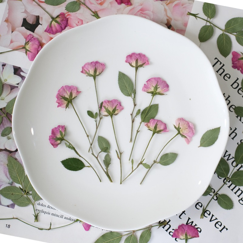 ดอกกุหลาบแห้งแท้ 12 ชิ้น สีชมพ - Resin Art Rose Petals บทวิจารณ์และราคา