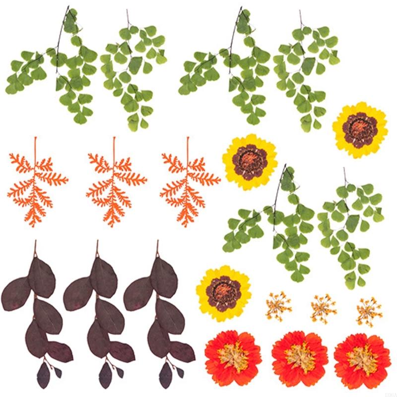 ดอกไม้กดแห้งสำหรับแม่พิมพ์เรซิ - Dried Flower Pressed บทวิจารณ์และราคา