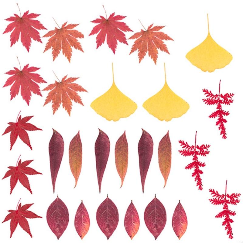 ดอกไม้กดแห้งสำหรับแม่พิมพ์เรซิ - Dried Flower Pressed บทวิจารณ์และราคา