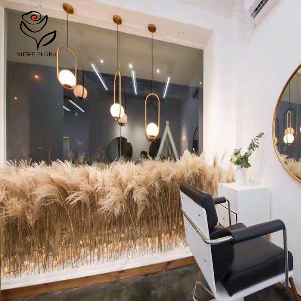 200PCS ธรรมชาติแห้ง Fluffy Ree - Dried Flower Pressed บทวิจารณ์และราคา