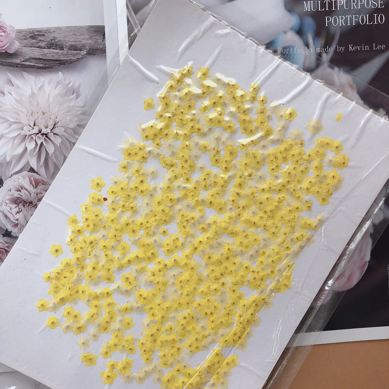 ดอกไม้ Forget-Me-Not ขนาดเล็ก  - Dried Flower Pressed บทวิจารณ์และราคา