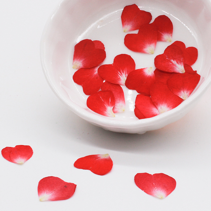 กลีบดอกกุหลาบ 120 ชิ้น แพ็คแบบ - Resin Art Rose Petals บทวิจารณ์และราคา