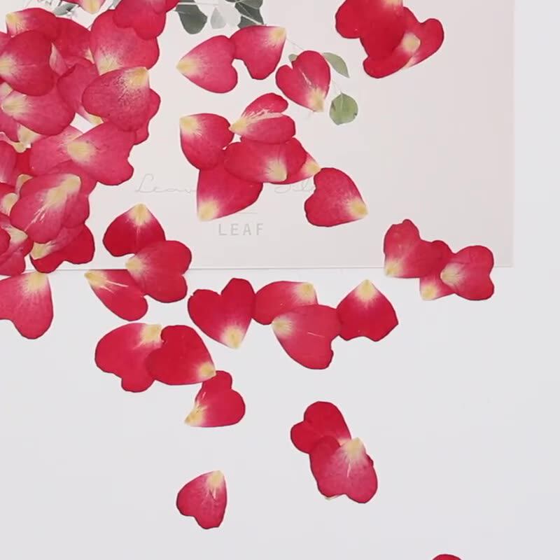 กลีบดอกกุหลาบ 120 ชิ้น แพ็คแบบ - Resin Art Rose Petals บทวิจารณ์และราคา