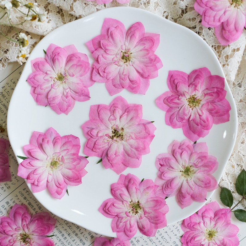 ดอกกุหลาบและดอกบัวแห้งธรรมชาติ - Resin Art Rose Petals บทวิจารณ์และราคา