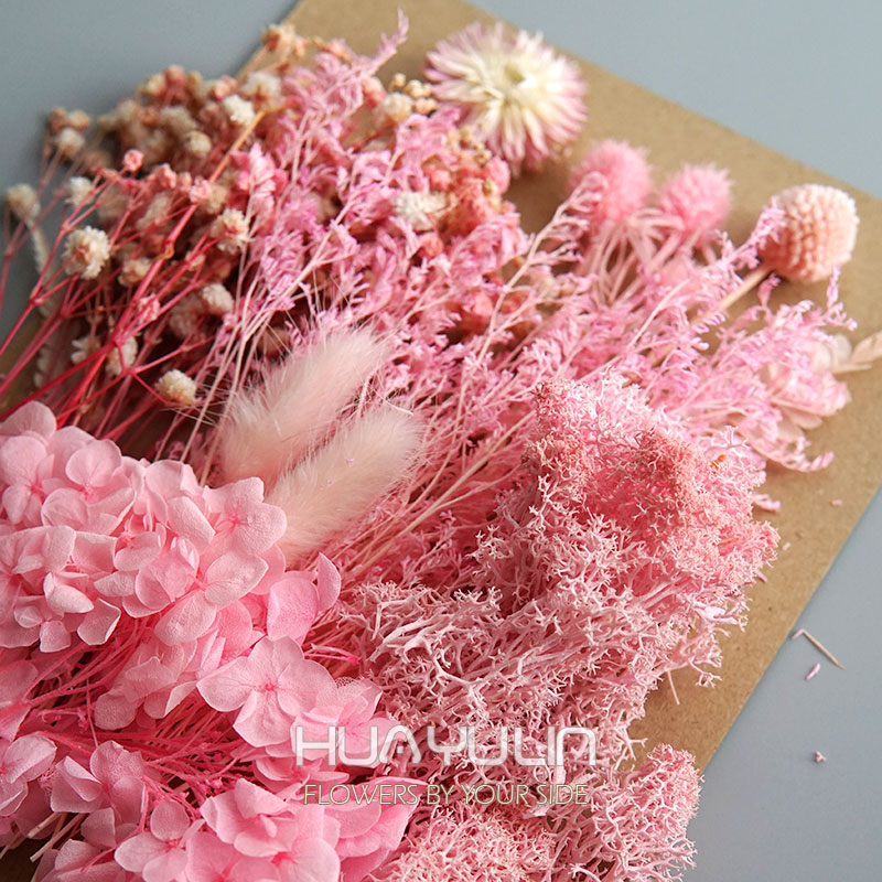 1 แพ็คพืชประดิษฐ์แห้งดอกไม้จริ - Dried Flower Pressed บทวิจารณ์และราคา